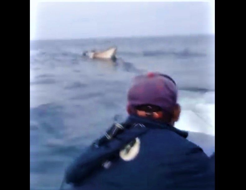 boat.jpg